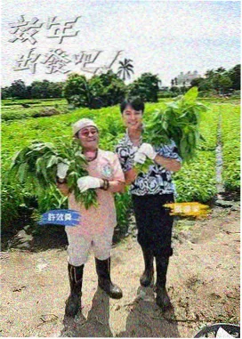 天美精品生活纪实综艺旧物修理铺剧照